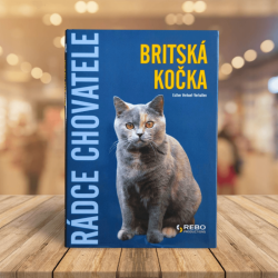 Britská kočka - Esther Verhoef Verhallen