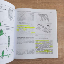 Botanika: Karel Kubát